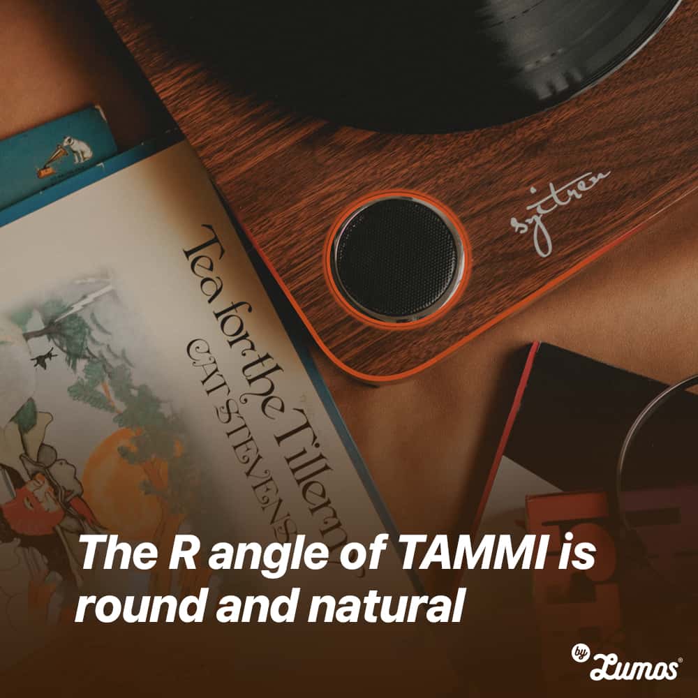 SYITREN TAMMI II All-In-One Vinyl Record Player