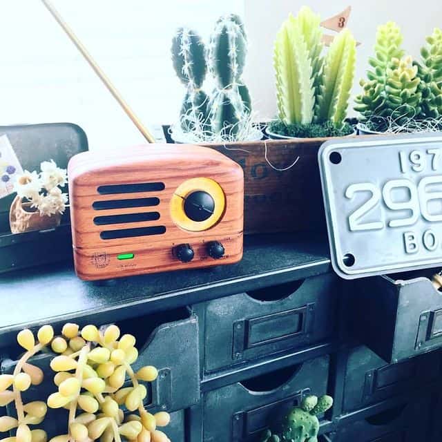 MUZEN OTR WOOD Portable Radio Speaker