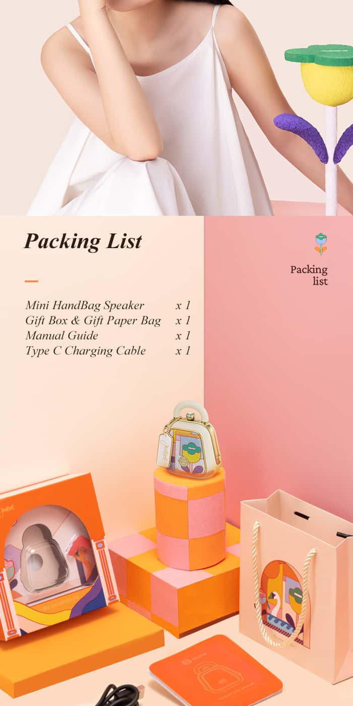 MUZEN MINI HANDBAG Portable Speaker